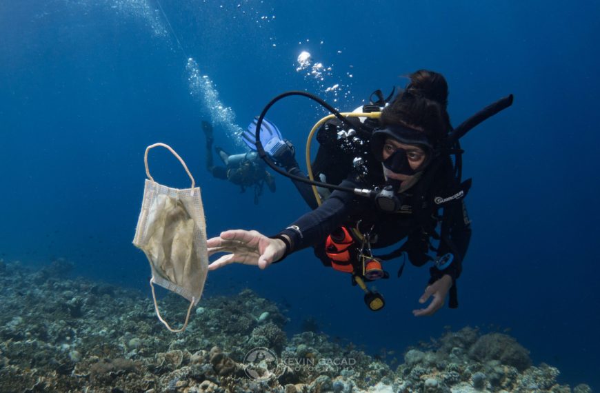 Industria Pesquera: La Participación Innovadora de Chile en Sostenibilidad