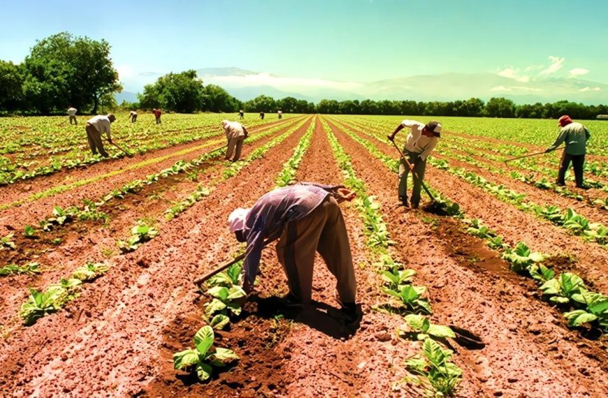 Desarrollo rural en América Latina: clave para el futuro sostenible