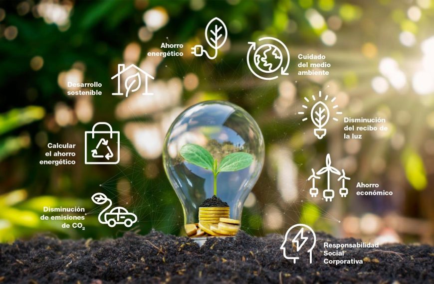 Cambio climático y confort térmico: Cómo lo vivimos los chilenos