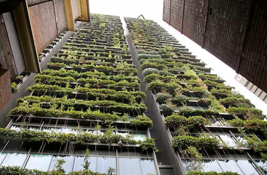 CemVivo: La Innovación que Revoluciona la Construcción Sostenible