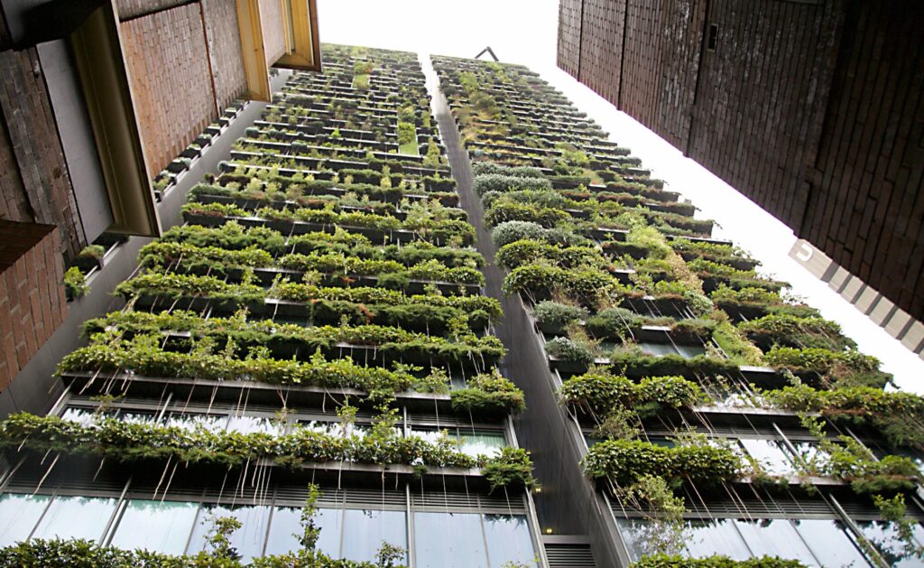 CemVivo: La Innovación que Revoluciona la Construcción Sostenible
