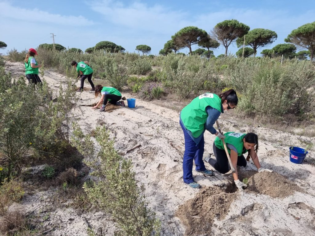 Voluntariado Corporativo: Iniciativas Impactantes que Transforman Comunidades