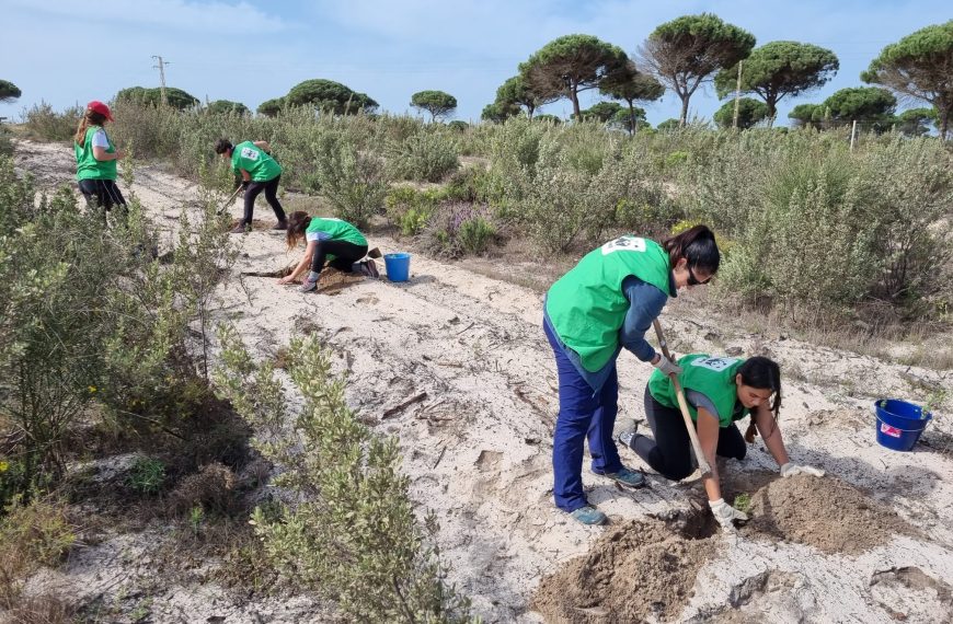 Voluntariado Corporativo: Iniciativas Impactantes que Transforman Comunidades