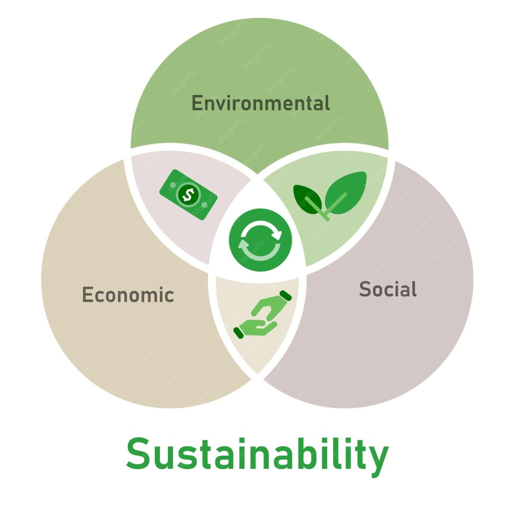 Premio Territorio Circular: ¡Oportunidades para negocios sostenibles en 2026!