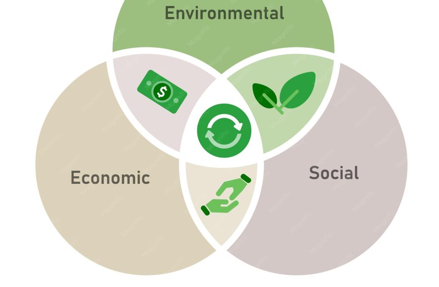 Premio Territorio Circular: ¡Oportunidades para negocios sostenibles en 2026!