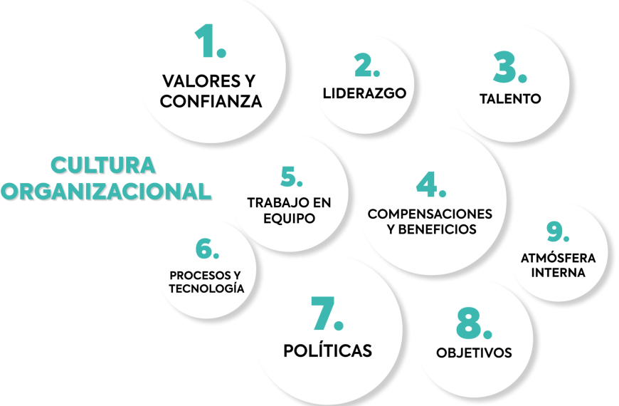 Ley Karin en Chile: Un Cambio Cultural en la Prevención de Acoso