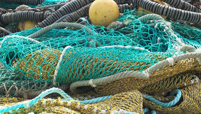 Redes de pesca: Innovaciones que Transforman la Industria Pesquera