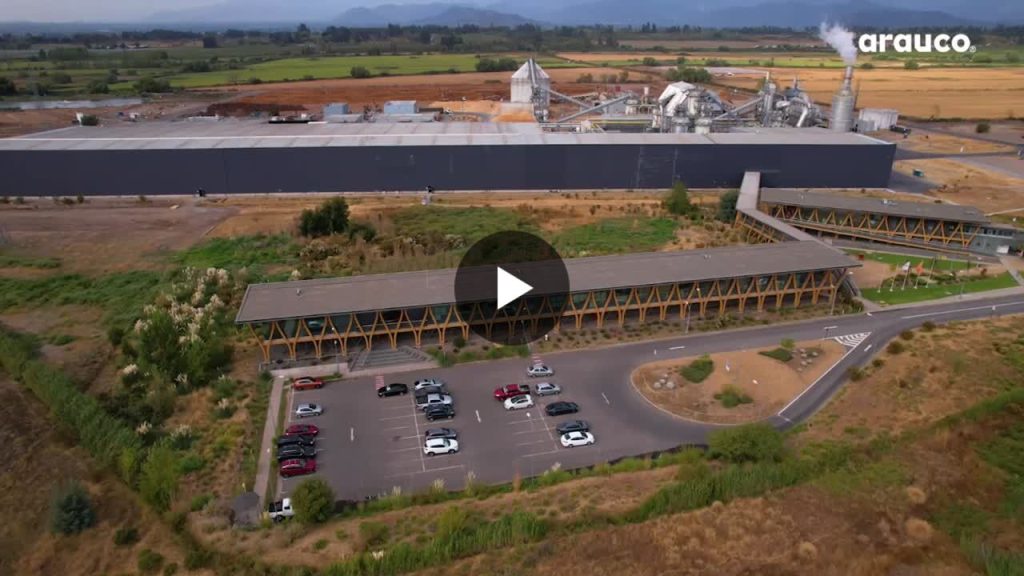 Reciclaje de Madera: Transformando Residuos en Nuevos Tableros