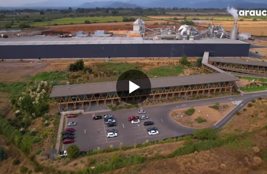 Reciclaje de Madera: Transformando Residuos en Nuevos Tableros