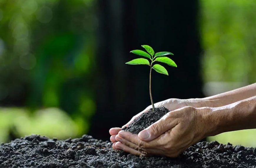 Economía Circular Biobío: Un Encuentro Clave para la Sostenibilidad