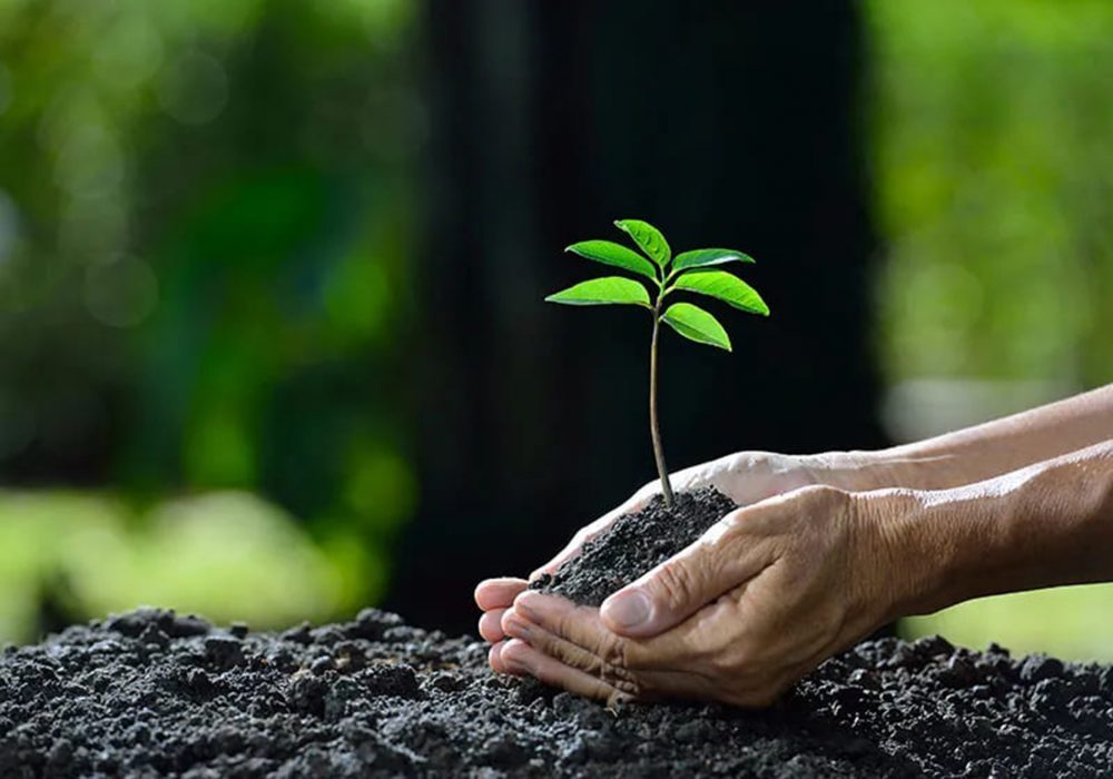 Economía Circular Biobío: Un Encuentro Clave para la Sostenibilidad